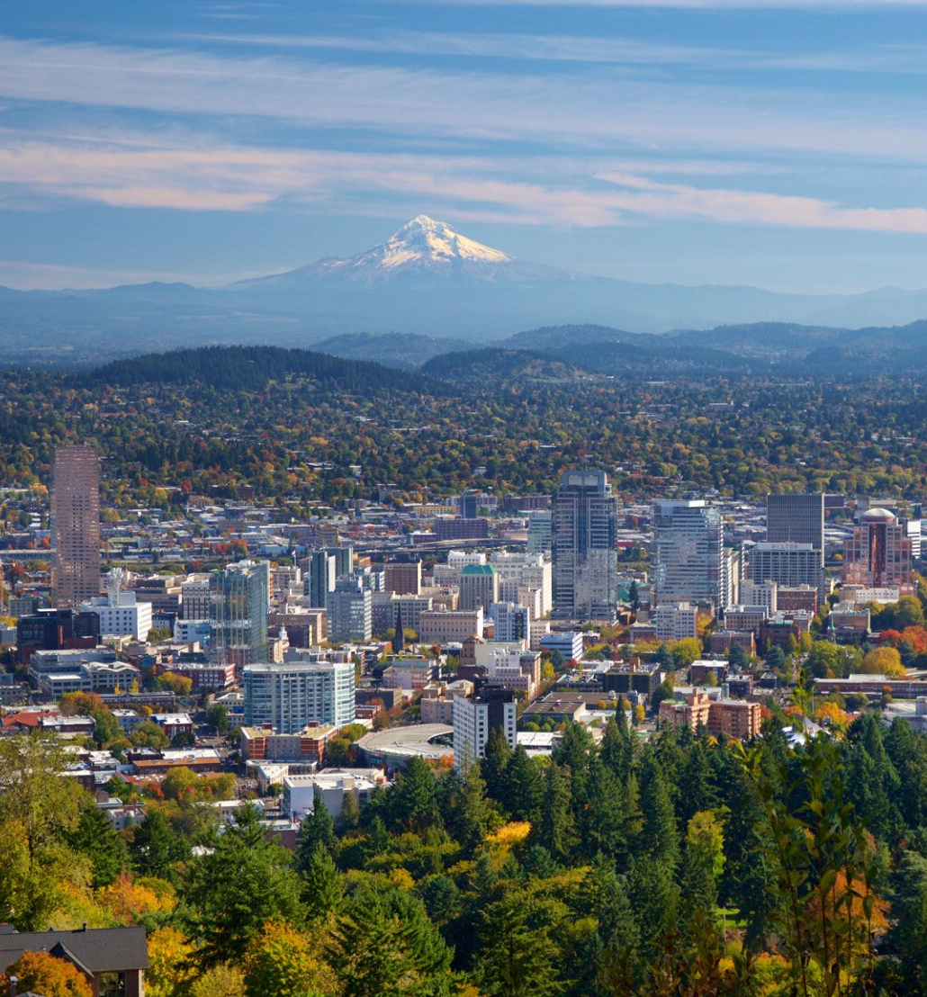 Portland Skyline View Photo