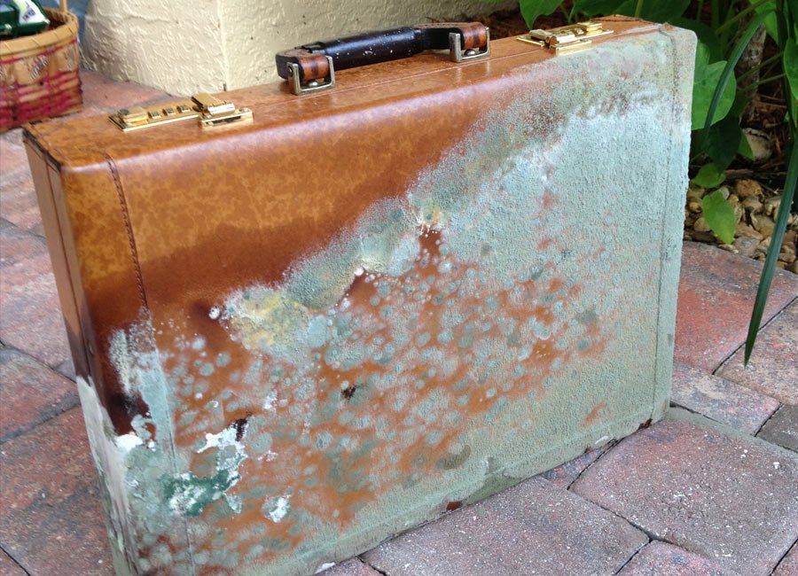 Molds on Briefcase — Naples, FL — Home Watch Academy