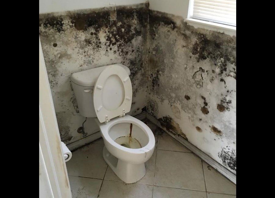 Molds on Bathroom Walls — Naples, FL — Home Watch Academy