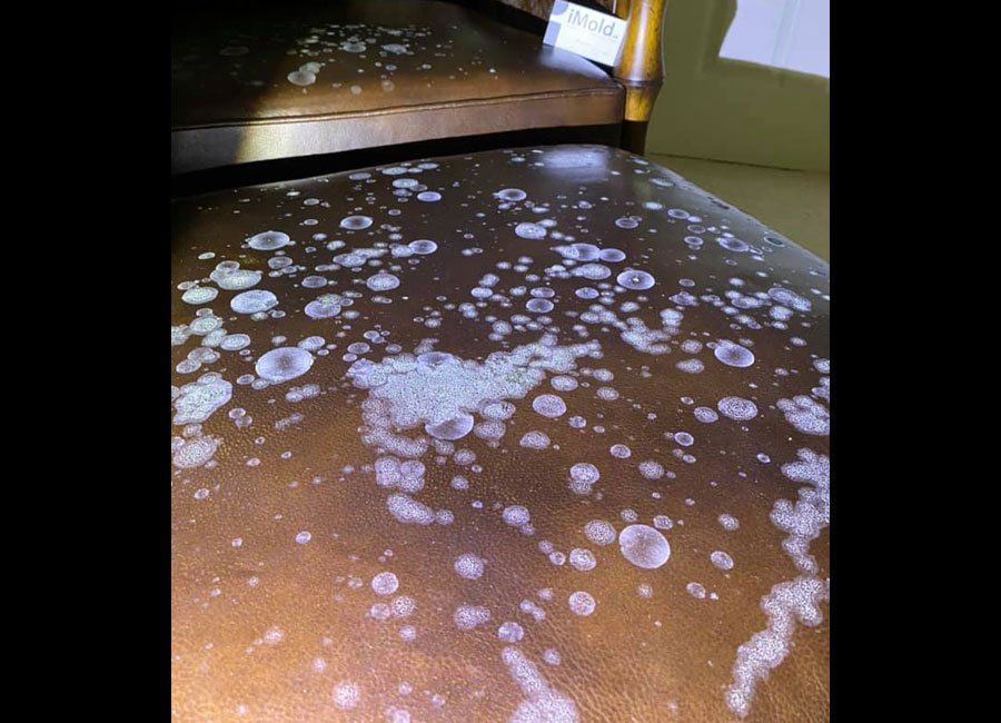 Leather Seat — Naples, FL — Home Watch Academy