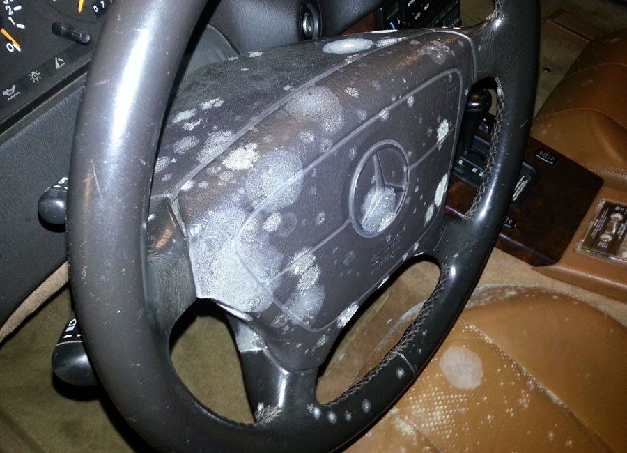 Steering Wheel — Naples, FL — Home Watch Academy