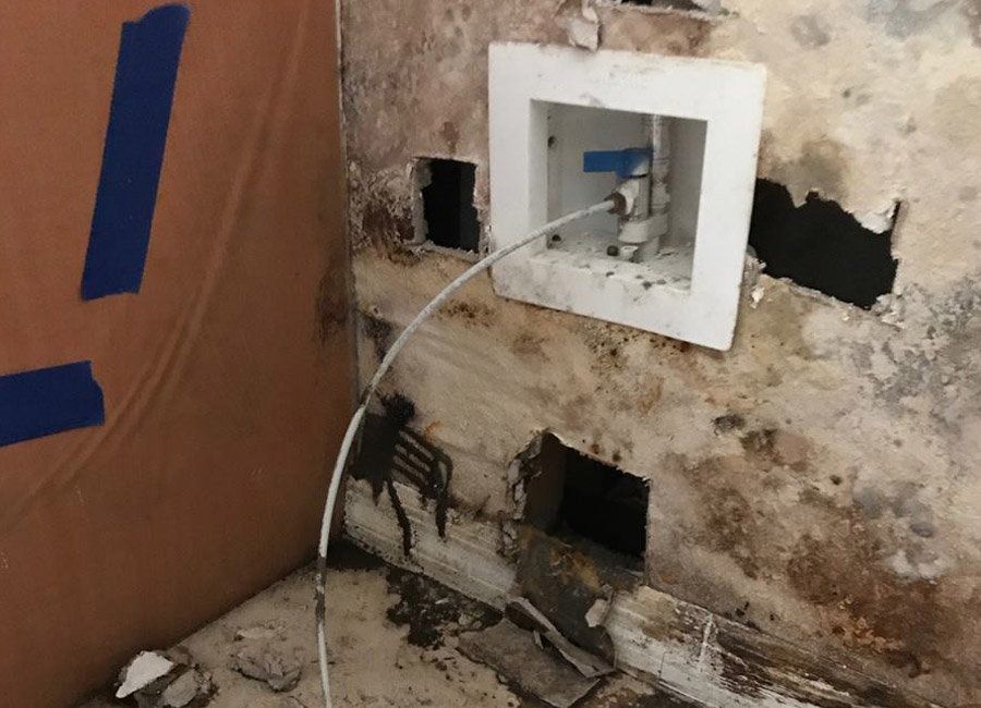 Mold and Damage Wall — Naples, FL — Home Watch Academy