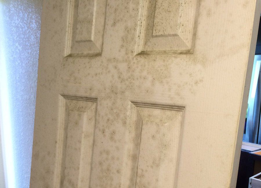 Door — Naples, FL — Home Watch Academy