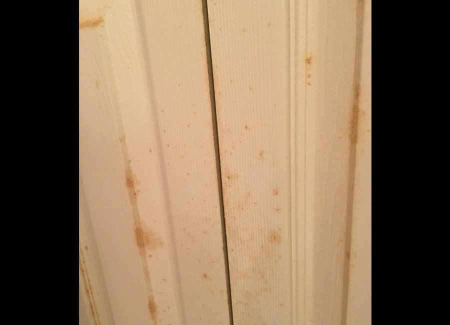Mold on the Door — Naples, FL — Home Watch Academy