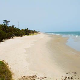 Sandy beach with ocean waves under a hazy sky; trees line the shore.
