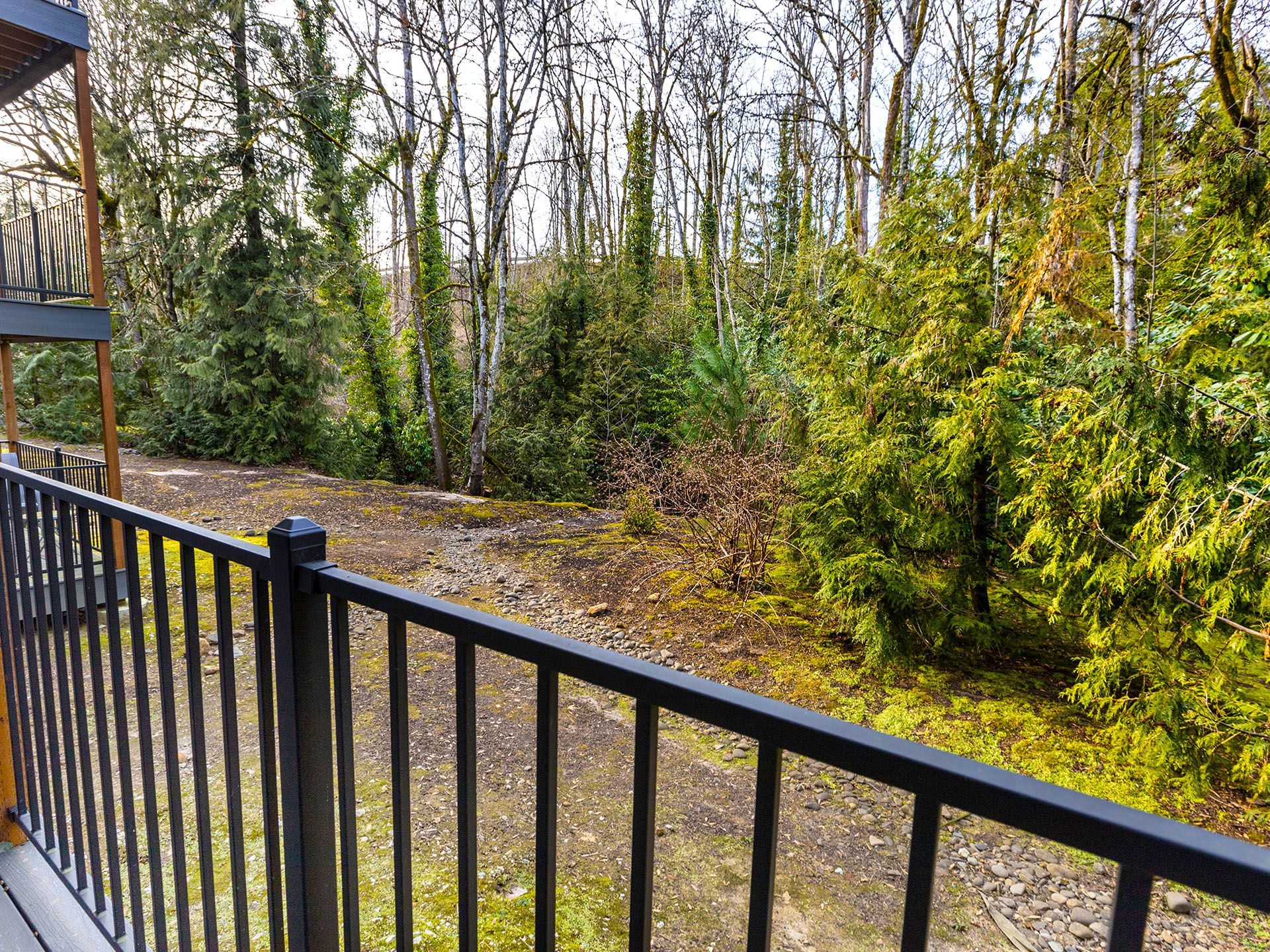 Photo of the surrounding wooded area, seen from a balcony