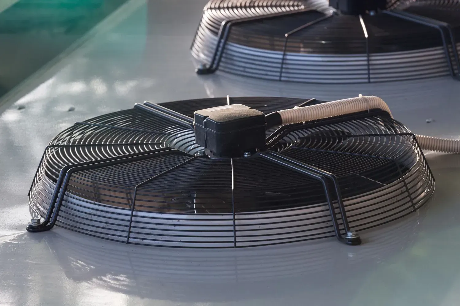 A close up of a fan on a white surface