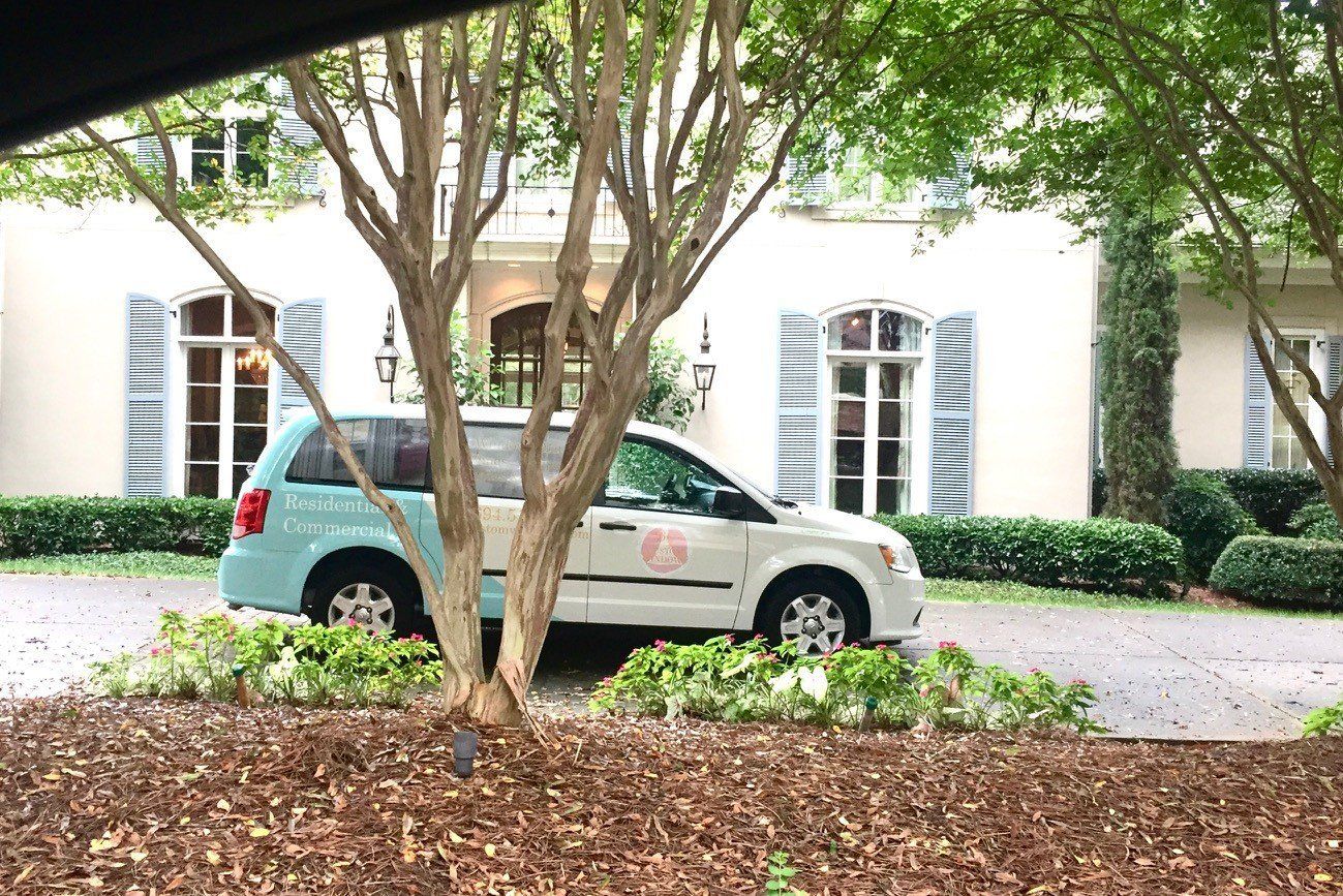 BG Custom Windows Car