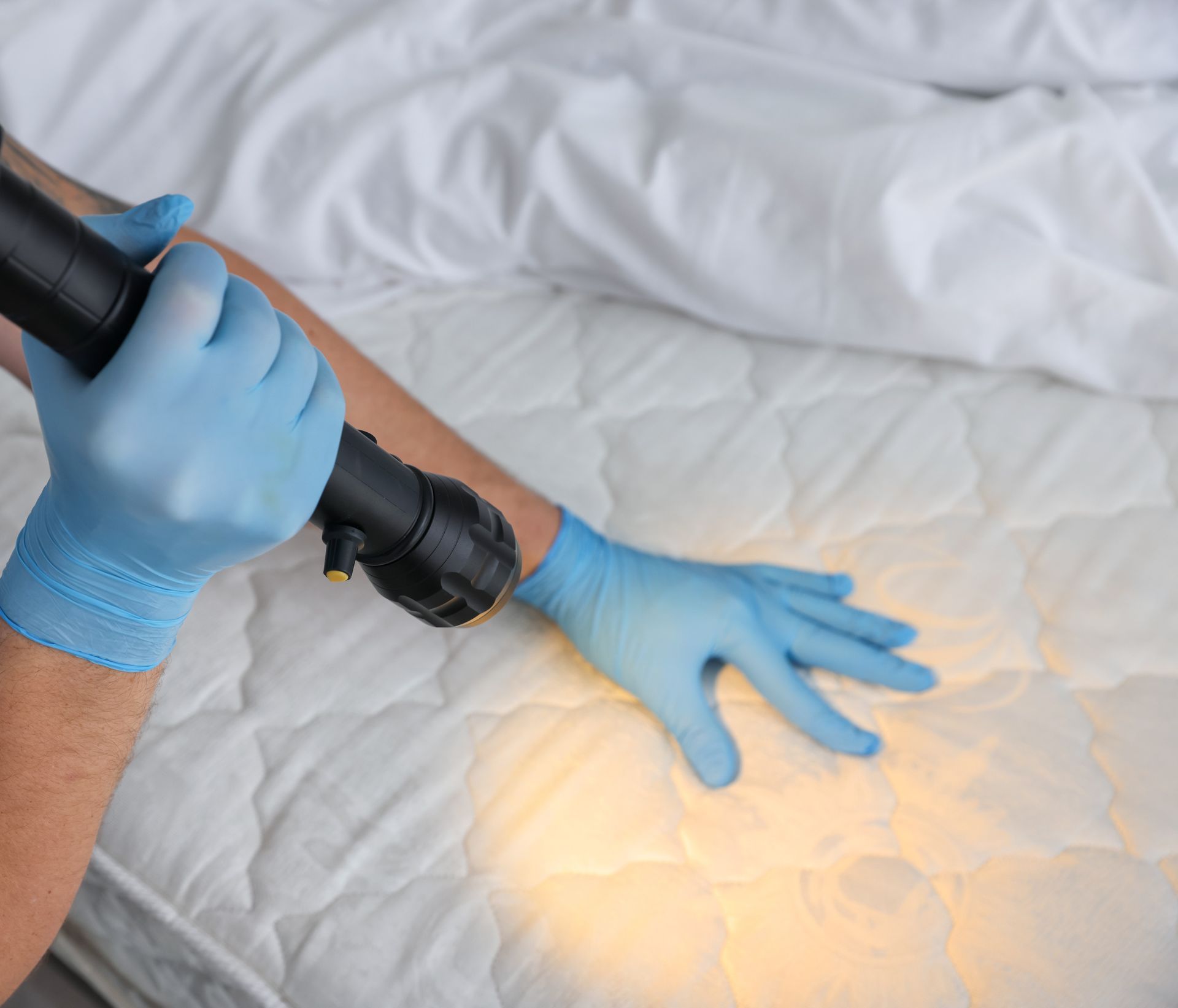 Hands in blue disposable gloves use a flashlight to inspect a white mattress for pests or stains.