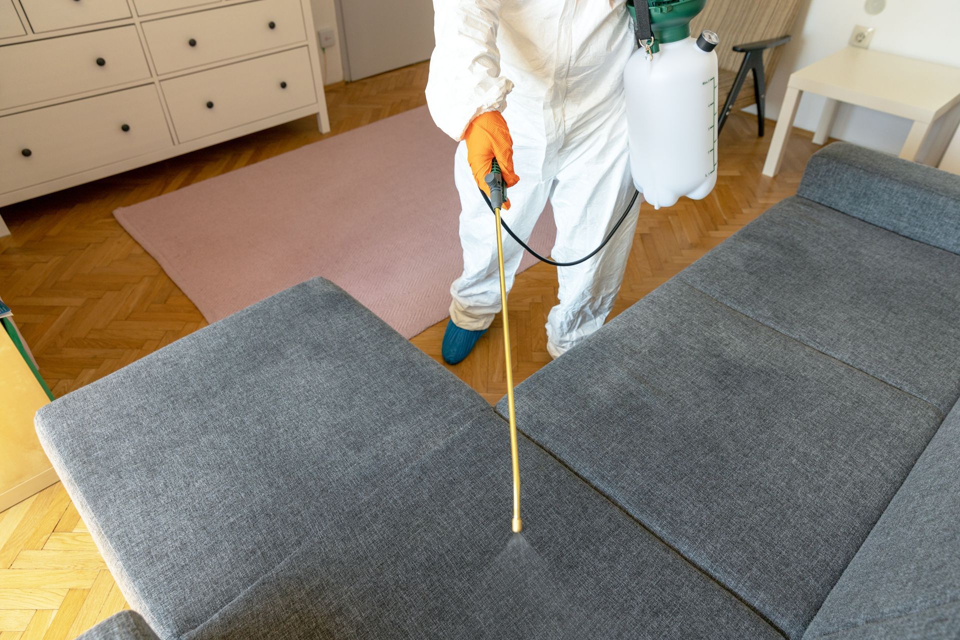 A person in a protective white suit and orange gloves sprays a gray sofa with a handheld chemical sprayer in a room.