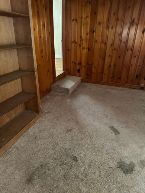 Wood-paneled room with carpet, built-in shelves, and a small step by a doorway