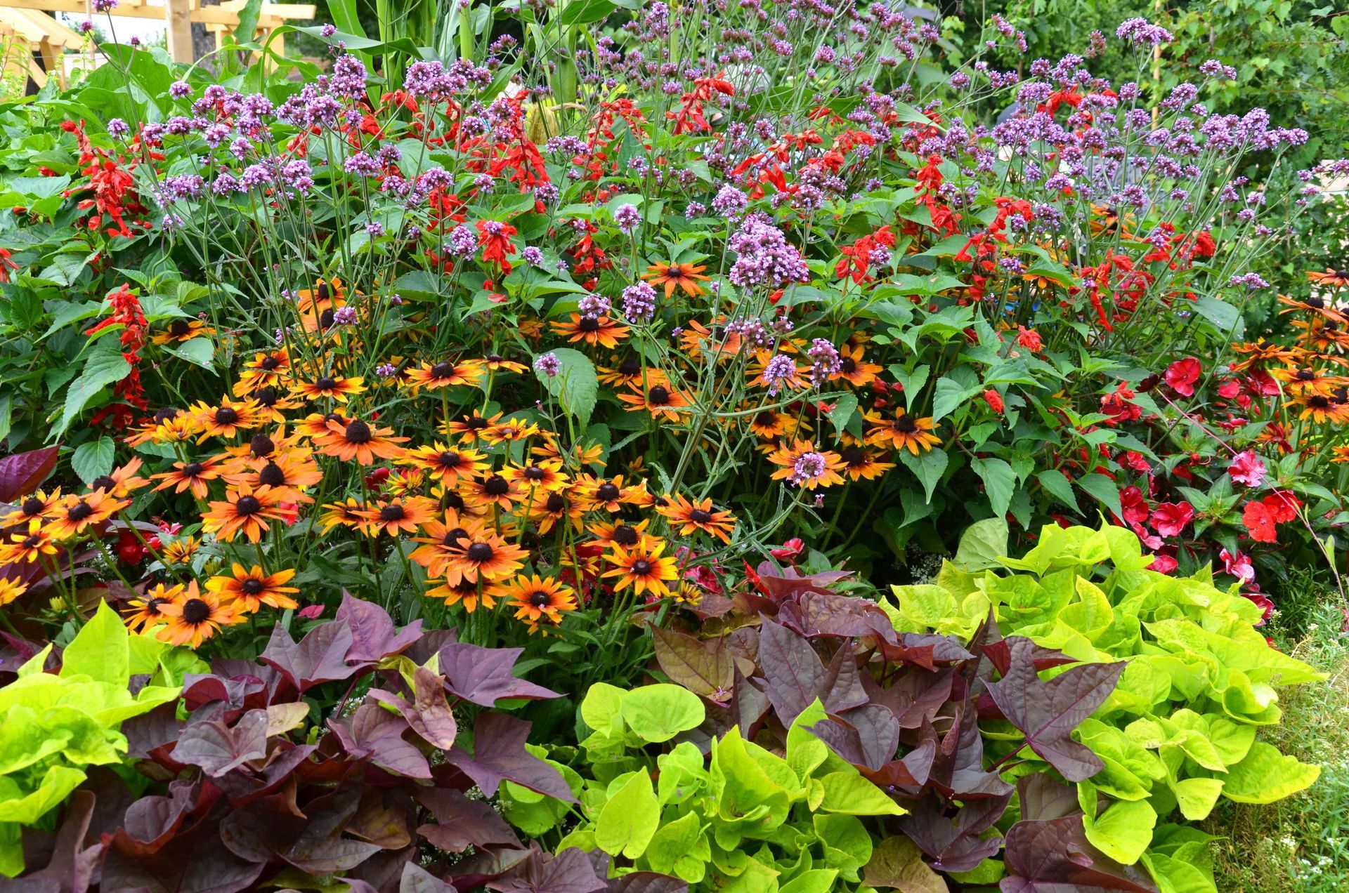seasonal aromatic and colorful flowerbed design for custom garden in chandler arizona