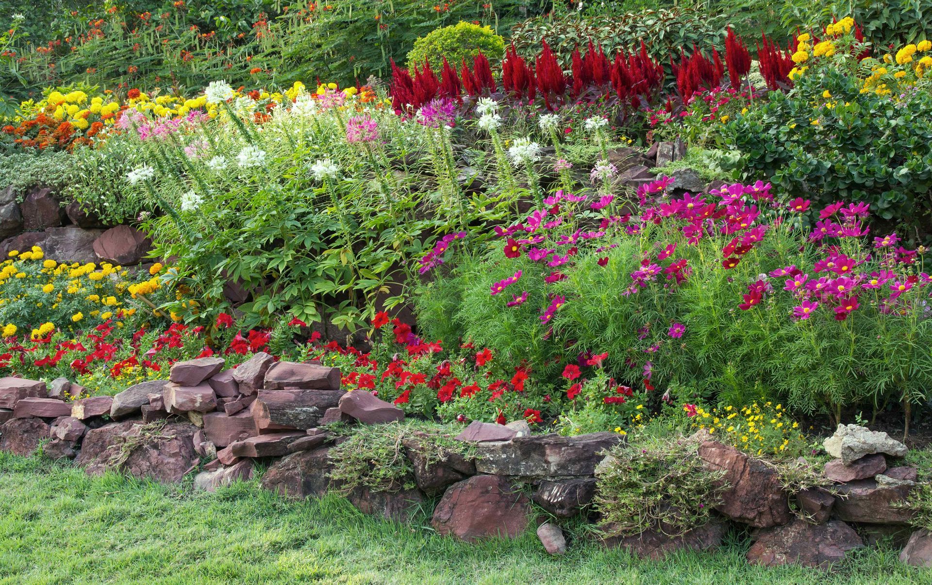 a raised natural stone flower garden