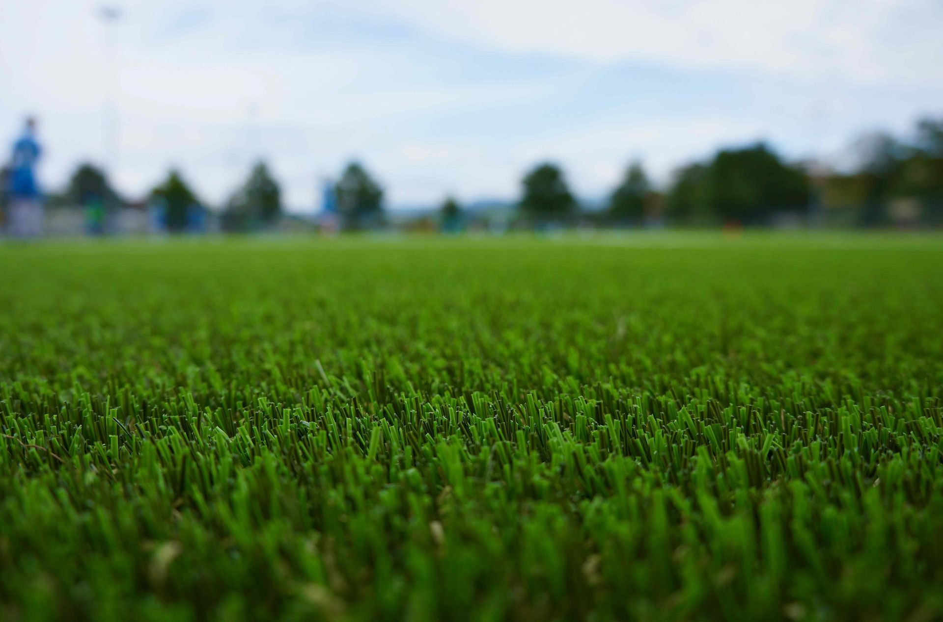 Artificial grass for a dog park in chandler arizona