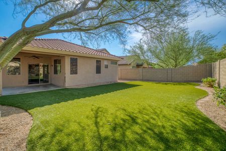 Fully irrigated lawn with cinderblock privacy fence in Chandler AZ