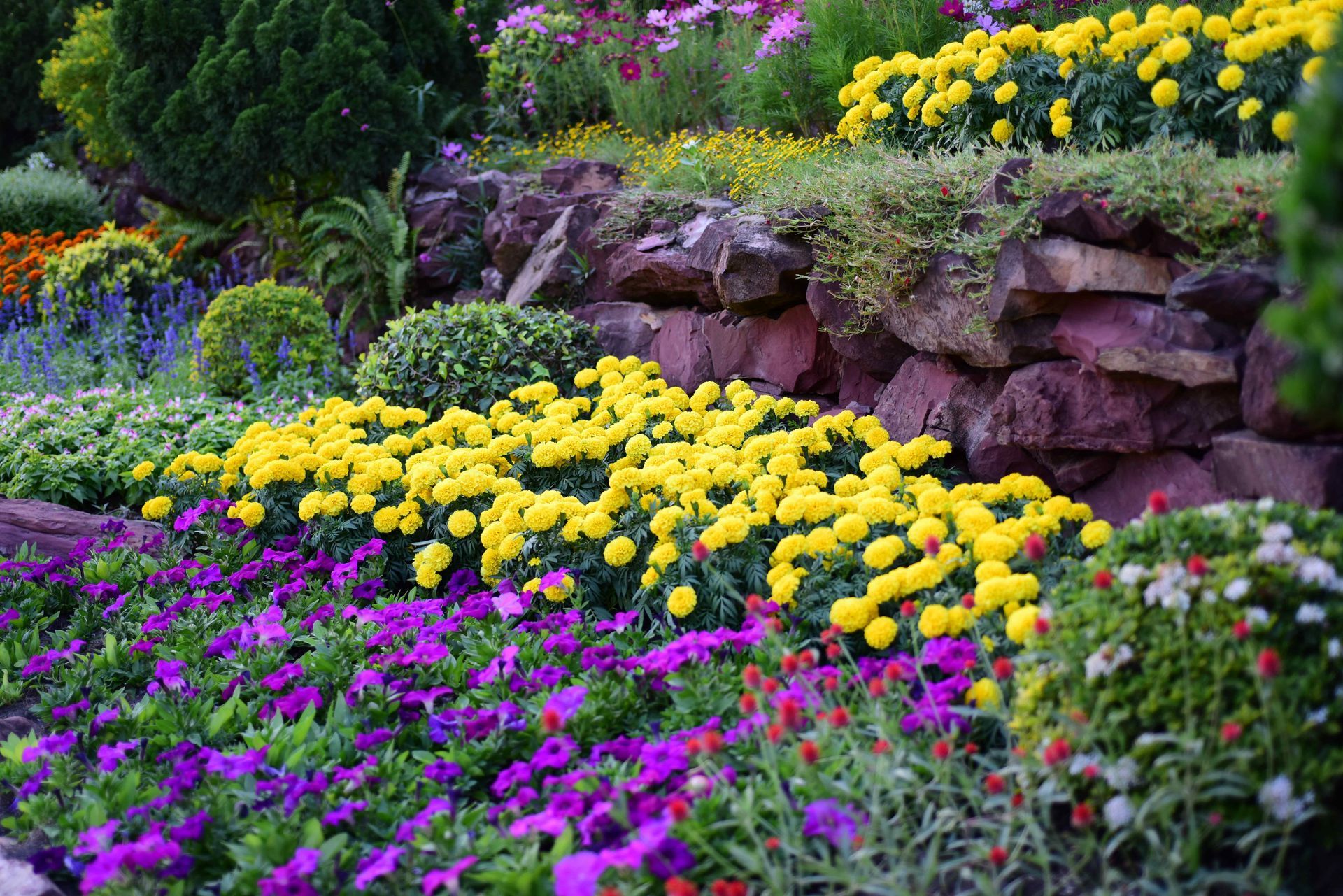 flower bed with different flowers on different levels