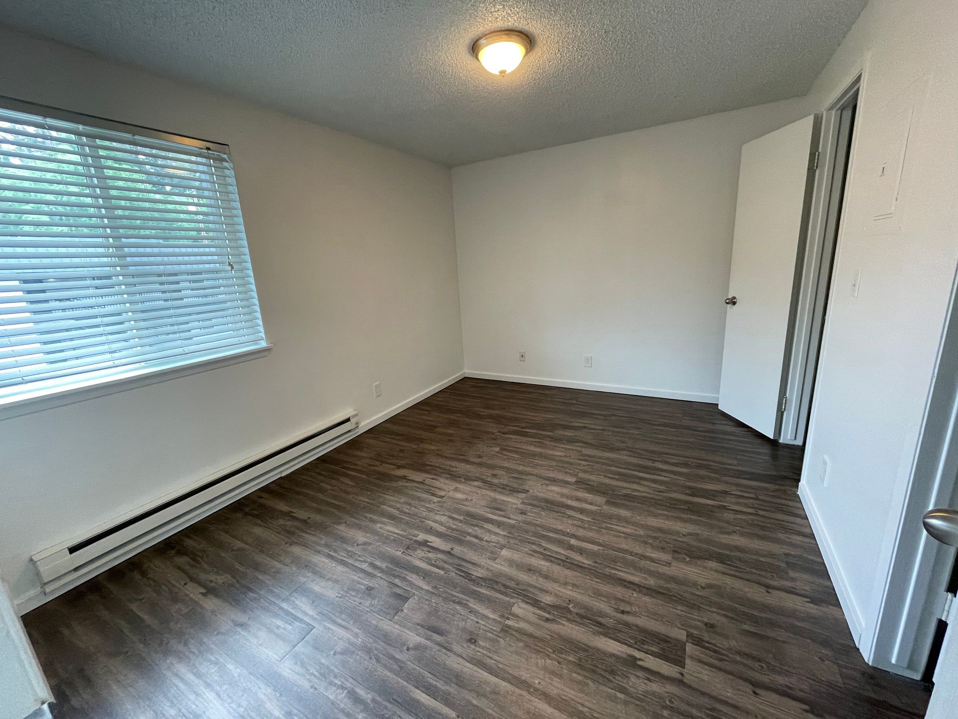 Empty room with wood-look flooring, white walls, a closed door, window with blinds, and ceiling light.