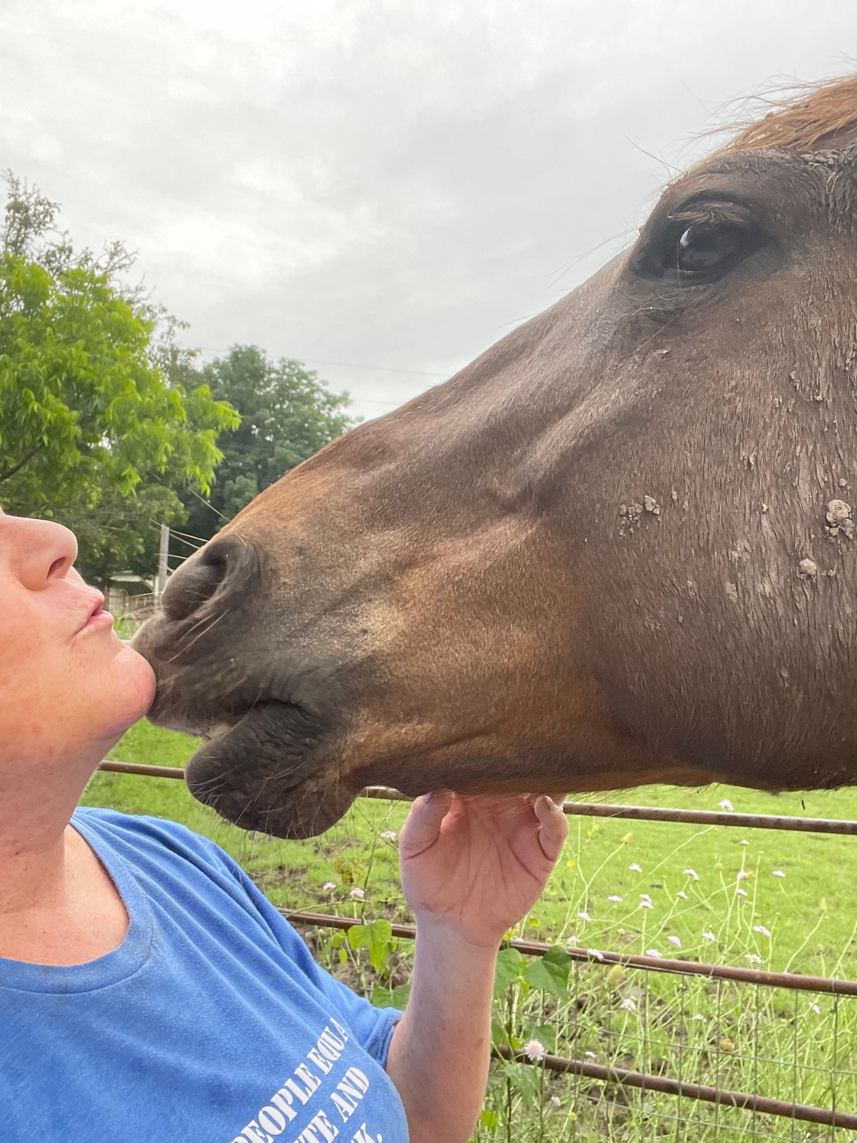 A woman kisses a brown horse's muzzle. They're outside near a fence and green foliage under an overcast sky.
