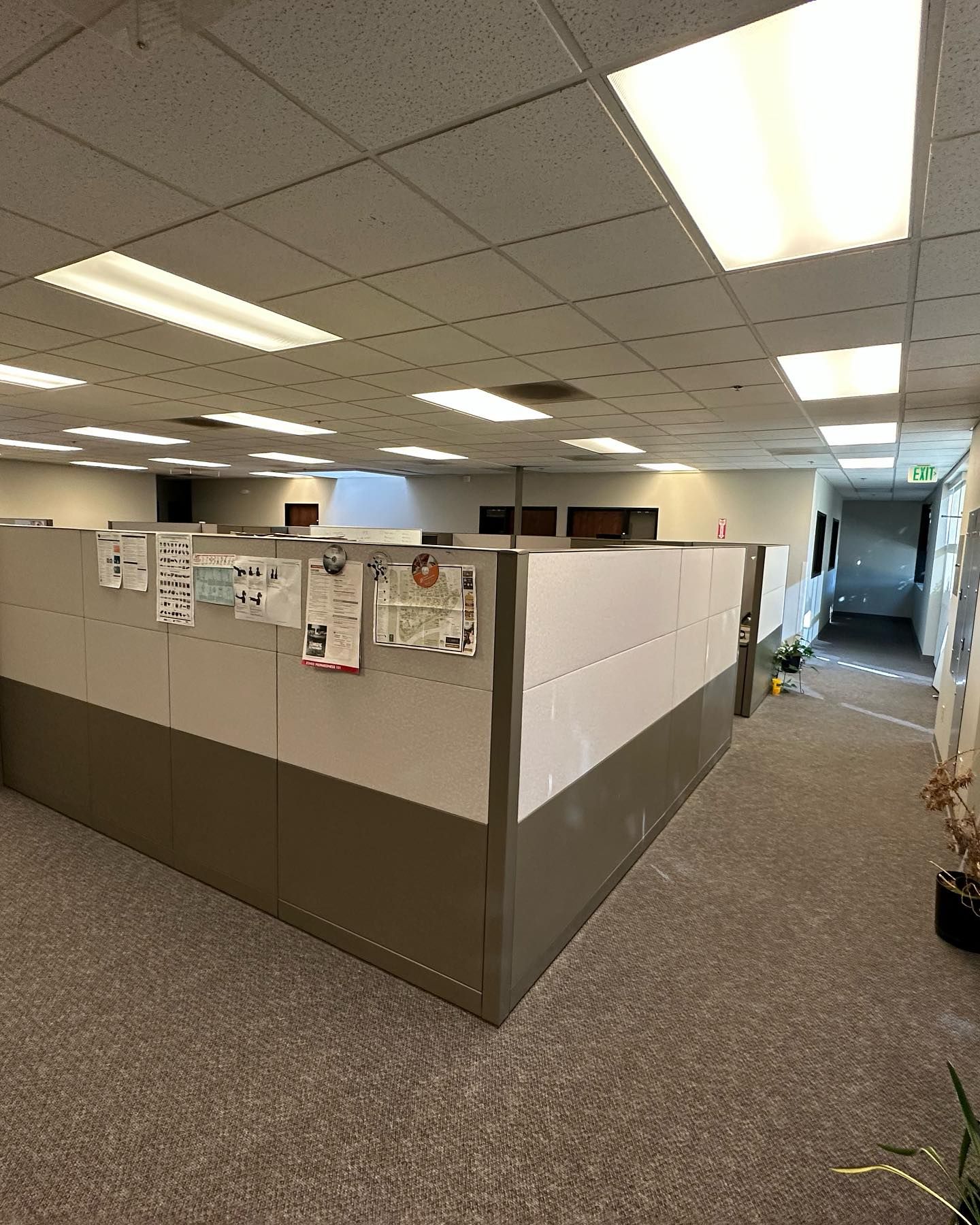 Commercial Office Cleaning