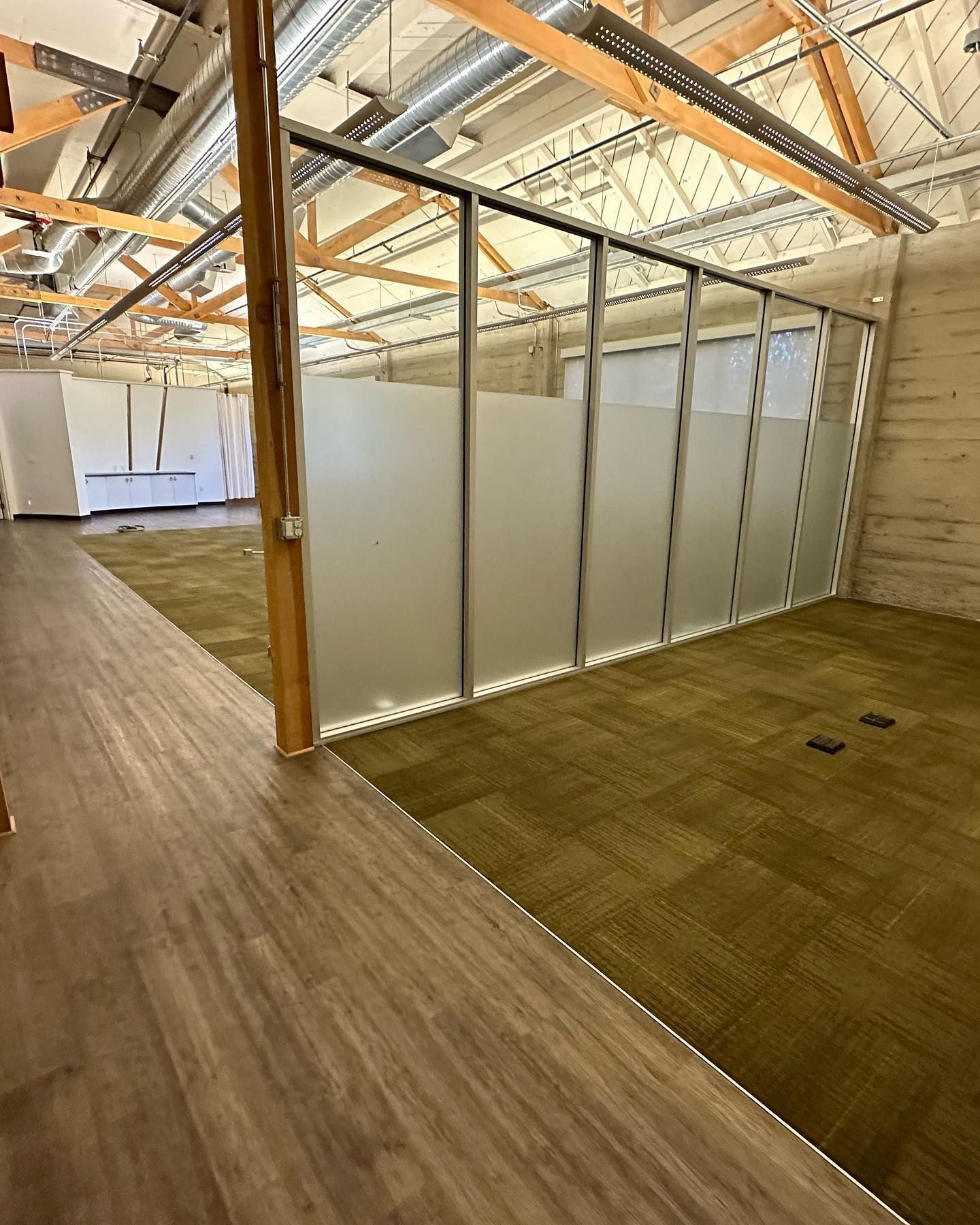 Professional Cleaning Services