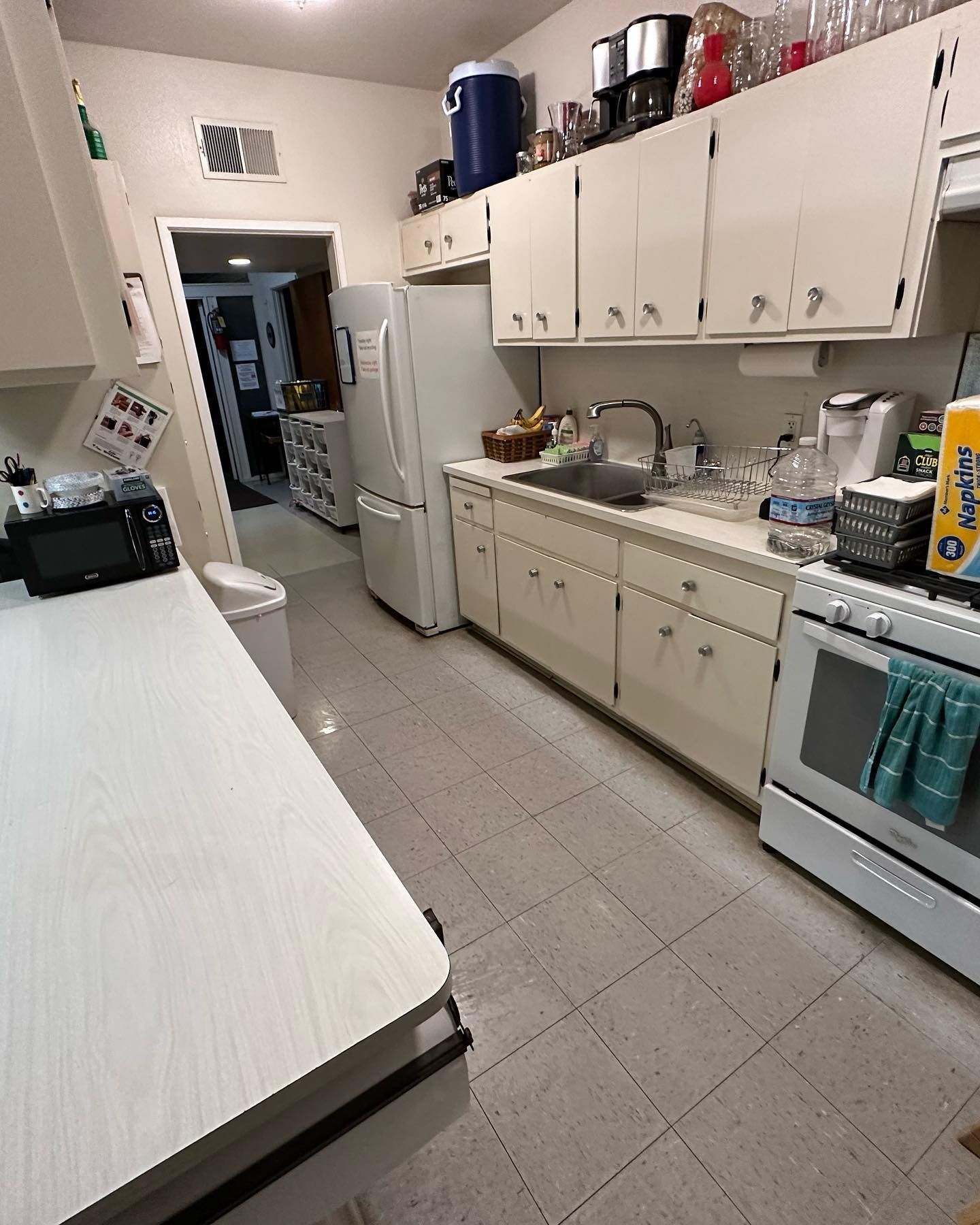 Professional Janitorial Services