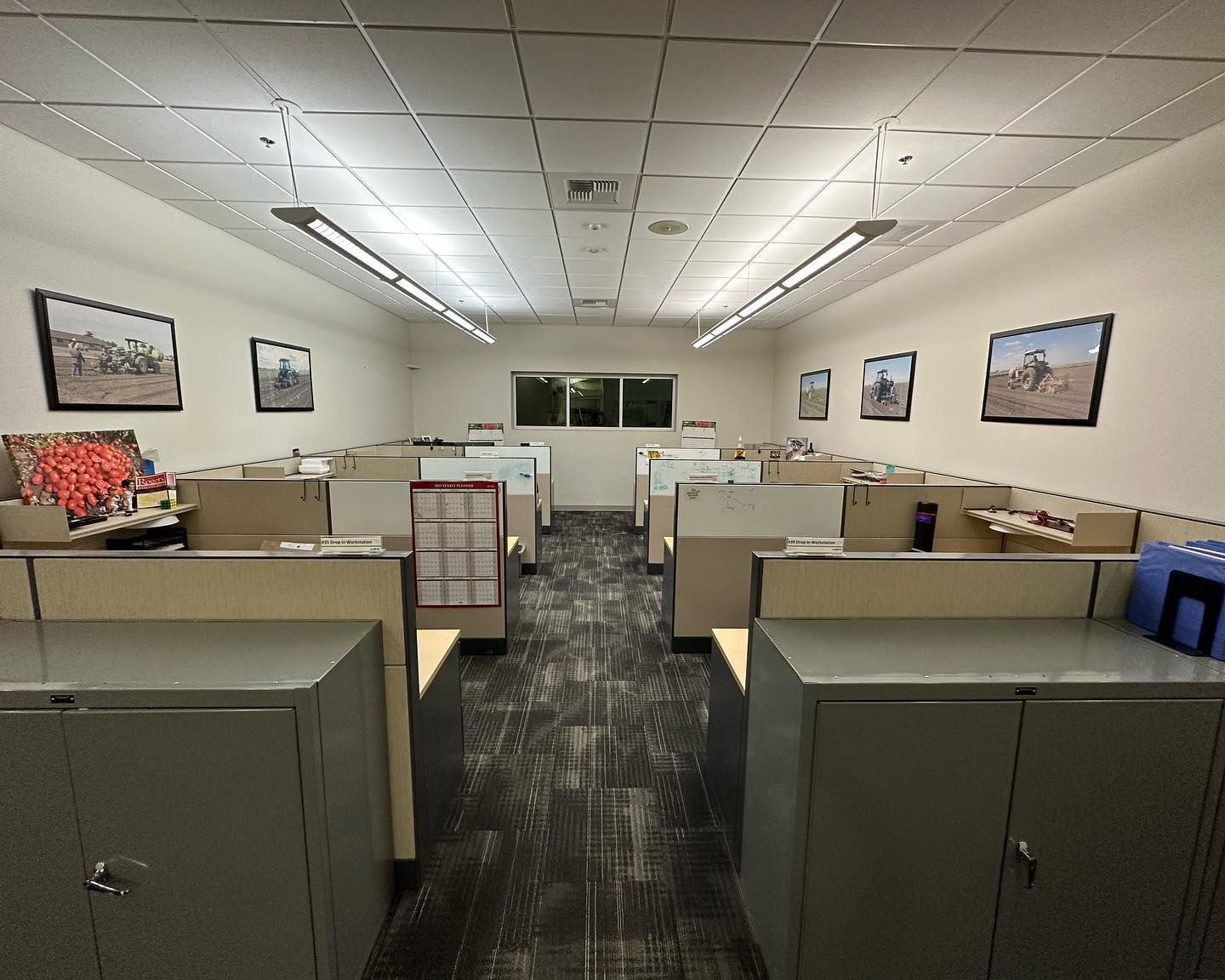 Professional Cleaning Services