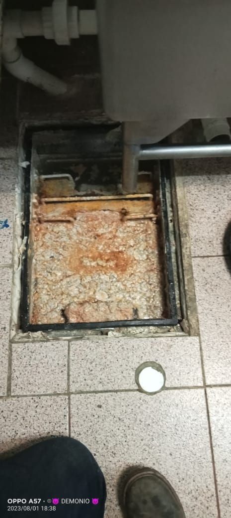 SERVICIOS ARYS - limpieza