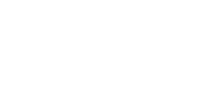 XLight Company logo