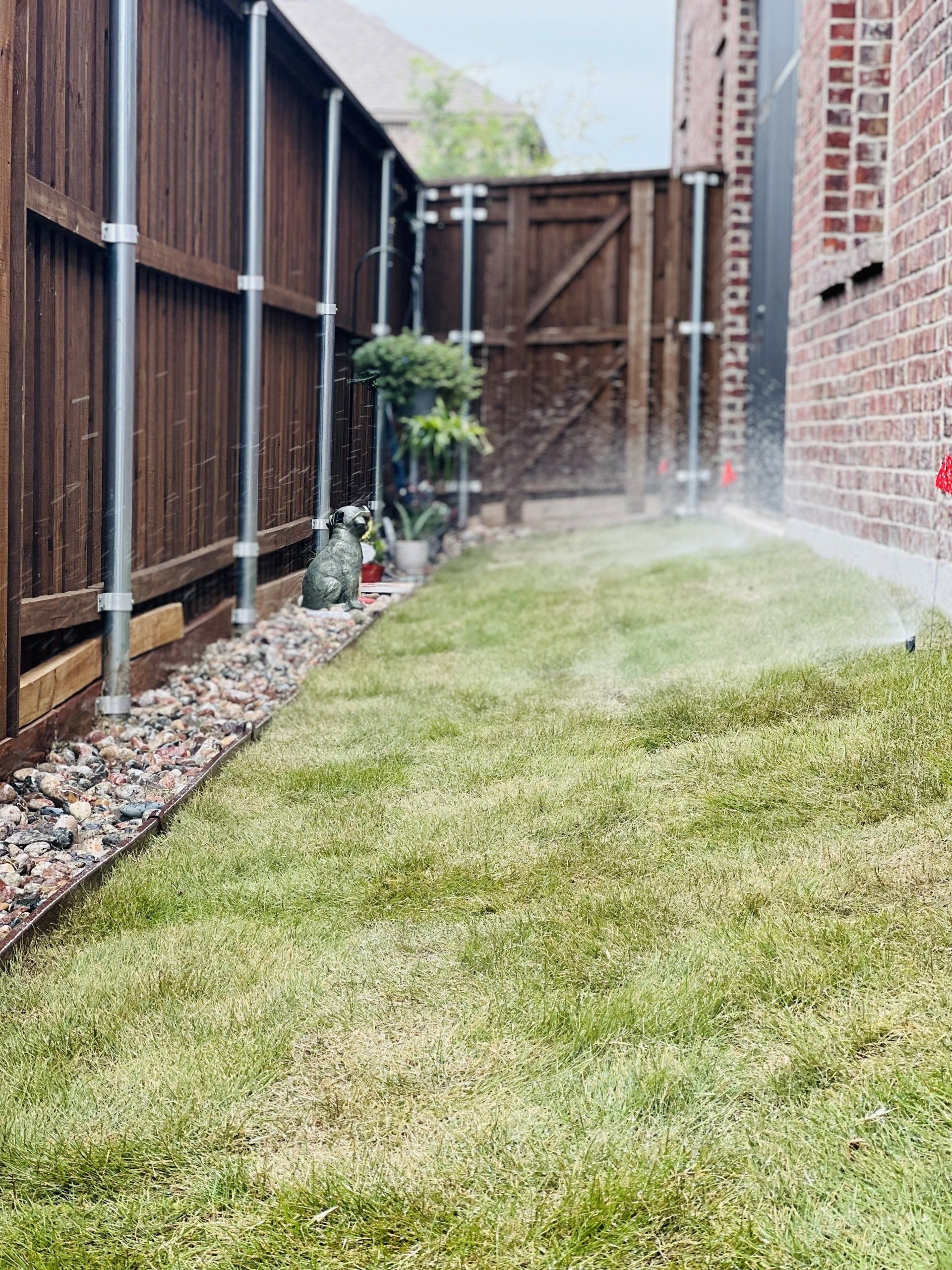 Irrigation Management in Dallas TX