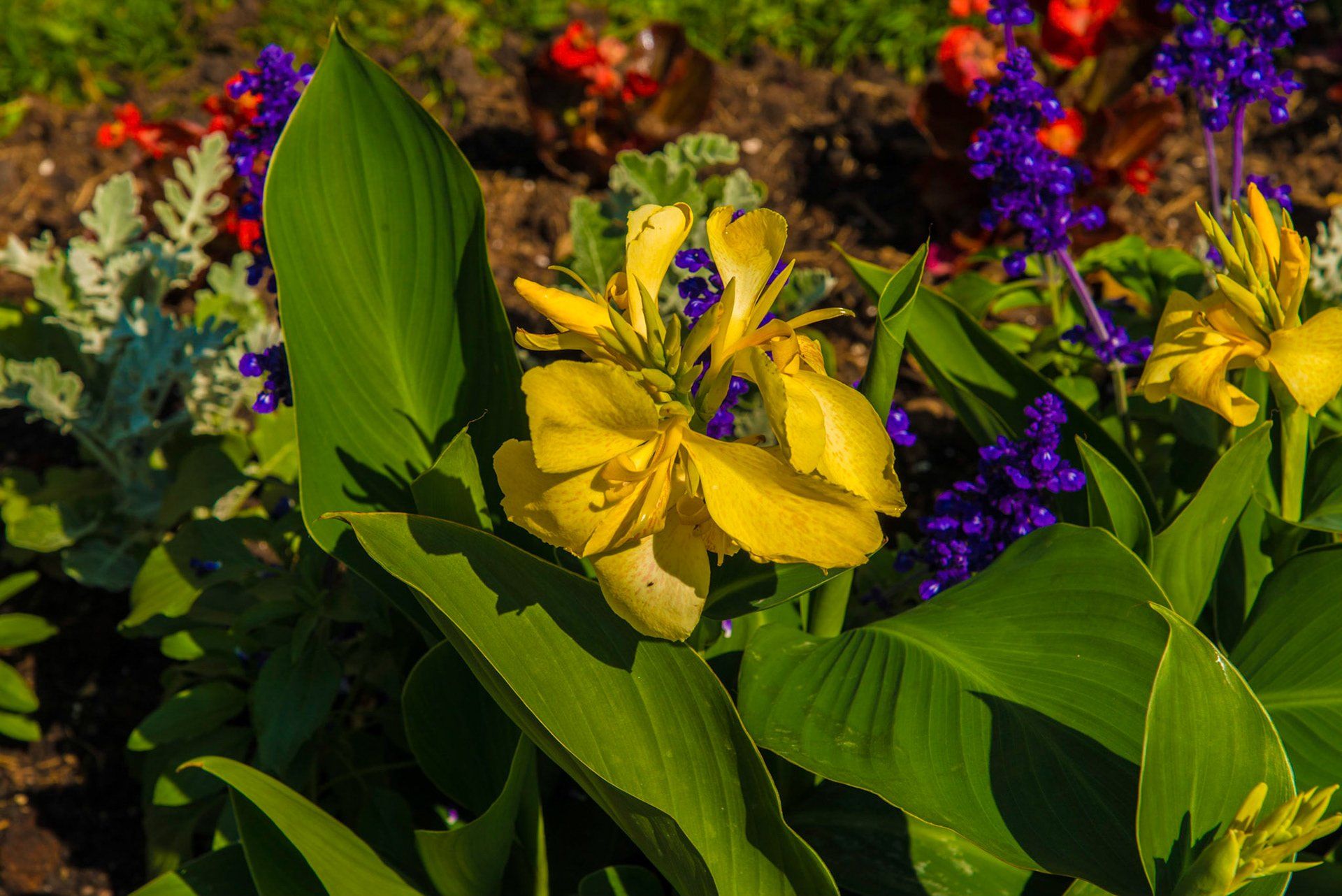 Example Photo of Dave Lynn Video & Photo Viking River Cruise Photography