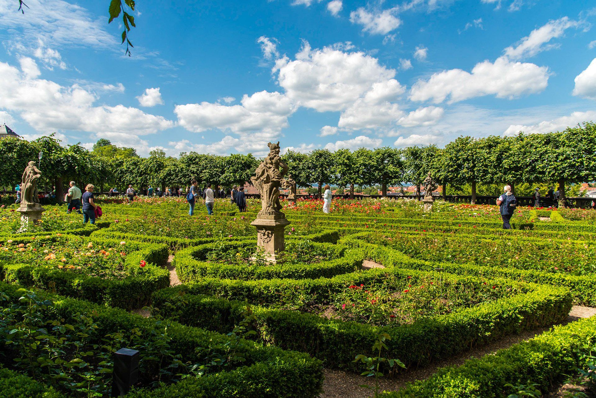 Example Photo of Dave Lynn Video & Photo Viking River Cruise Photography