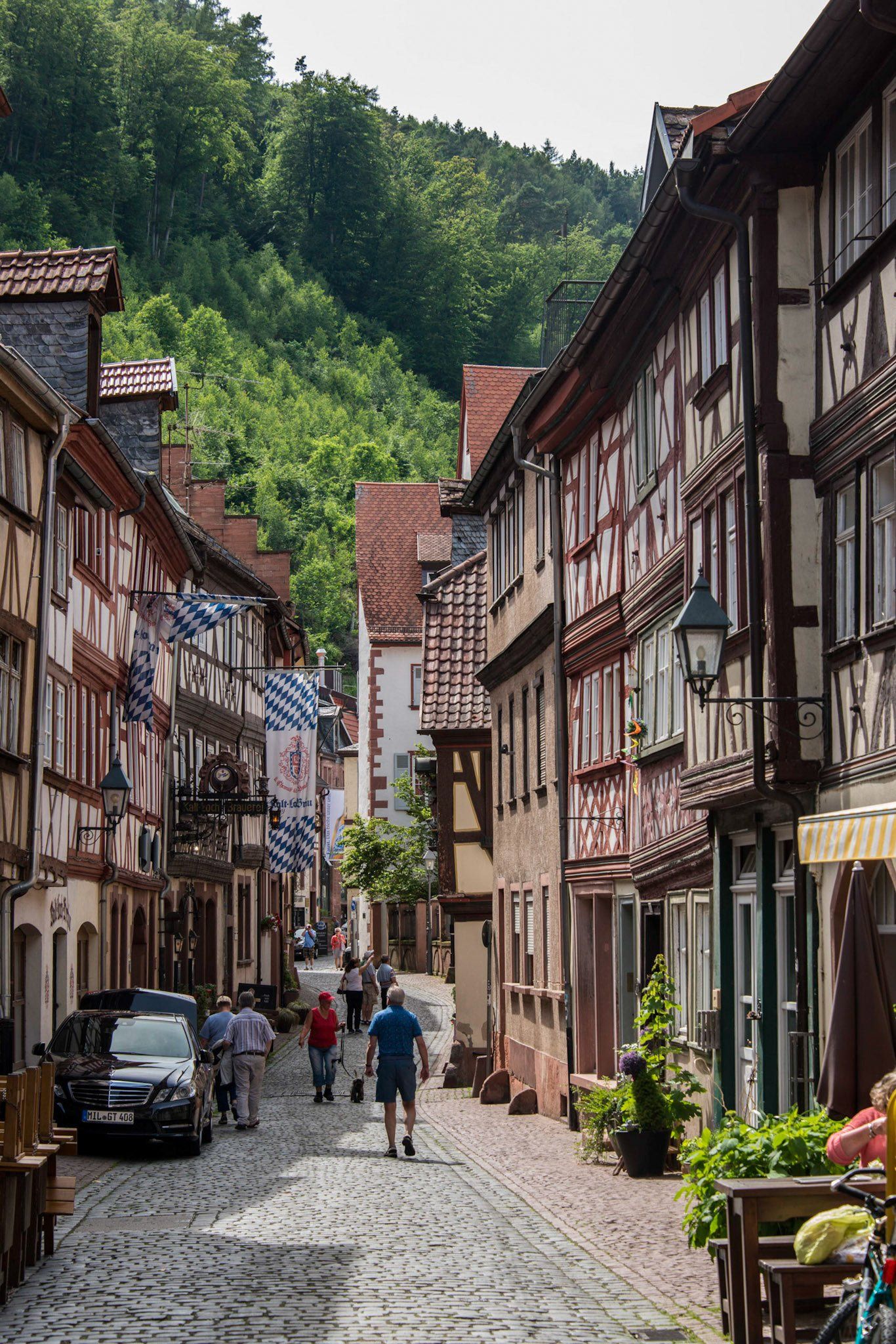 Example Photo of Dave Lynn Video & Photo Viking River Cruise Photography