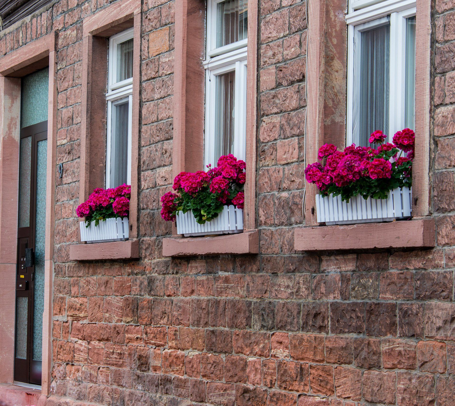 Example Photo of Dave Lynn Video & Photo Viking River Cruise Photography