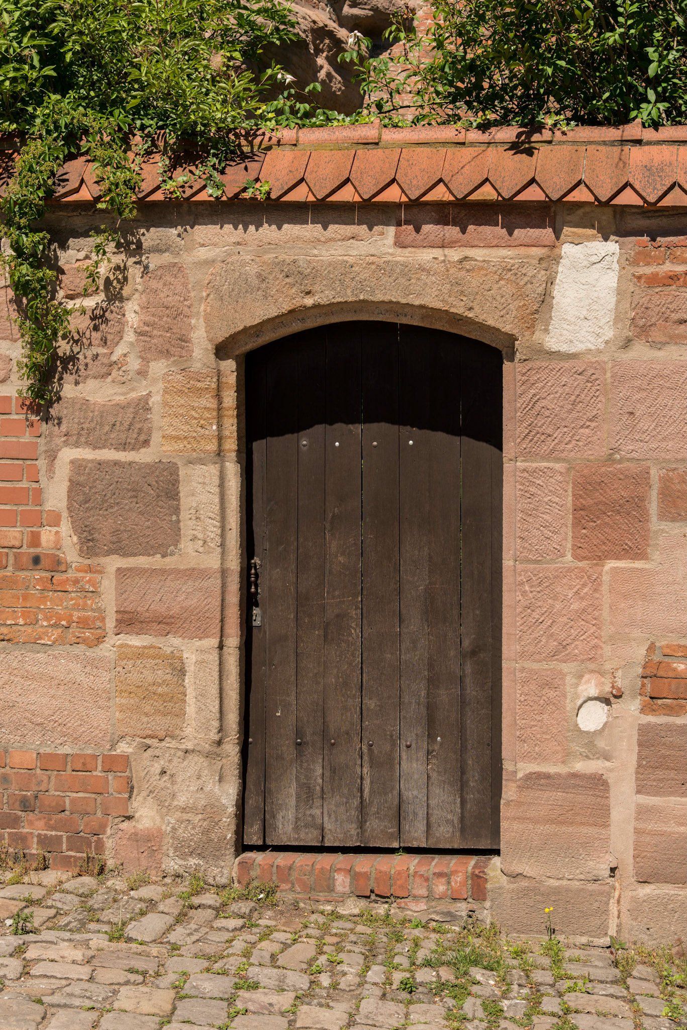 Example Photo of Dave Lynn Video & Photo Viking River Cruise Photography