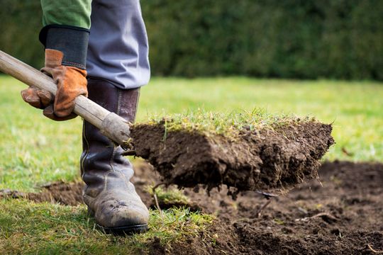 Person digging soil with a shovel in a grassy garden area