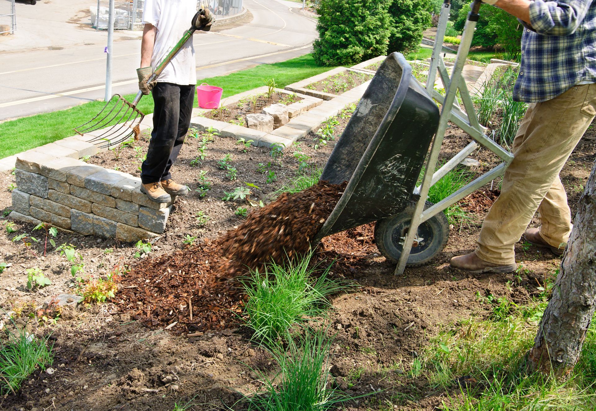Two people spreading mulch in a garden bed with a wheelbarrow and shovel