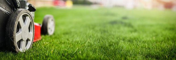 Close-up of a lawn mower wheel cutting green grass in a yard