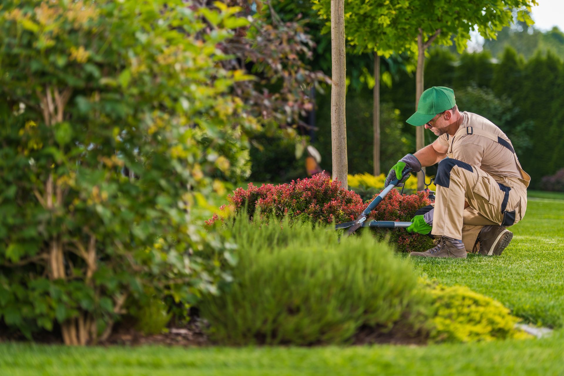 Gardener in a green cap trimming flowers in a lush garden with bright green shrubs