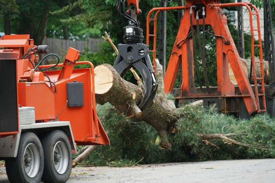 Orange wood chipper lifting a large tree trunk and branches with a claw on a roadside