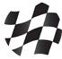 a black and white checkered flag on a white background .