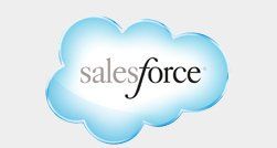 the salesforce logo is a blue cloud on a white background .