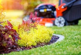 Taking Care of Garden — Lawn Care in Culver City, CA