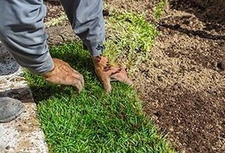 Gardener Planting New Grass — Gardener in Culver City, CA