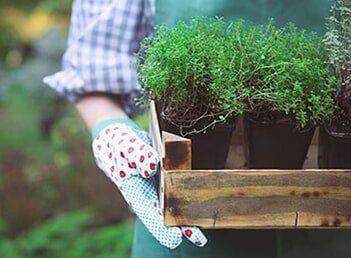 Woman With Plants — Gardener in Culver City, CA