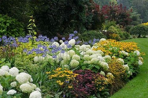 Beautiful Garden — Flower Beds in Culver City, CA