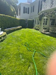 A large lawn with a green hose in front of a house.