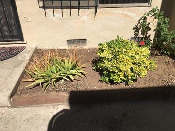 New Garden — Maintenance in Culver City, CA