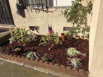 New Look Of Garden — Maintenance in Culver City, CA