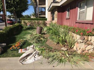 Repairing Garden — Maintenance in Culver City, CA