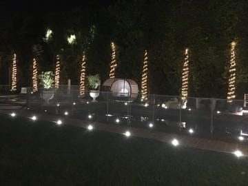 Wide View Beautiful Trees With Lights — Maintenance in Culver City, CA